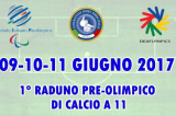 9-11 Giugno, Paratico (BS). 1° Raduno Pre-Olimpico di Calcio A11 9-11 Giugno, Paratico (BS). 1° Raduno Pre-Olimpico di Calcio A11