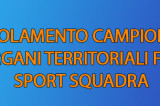 Regolamento Campionati Organi Territoriali FSSI – Sport Squadra Regolamento Campionati Organi Territoriali FSSI – Sport Squadra