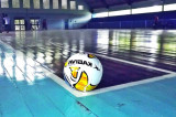 Comunicato Ufficiale n. 8/2018 Comunicato Ufficiale n. 8/2018