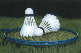 31 Marzo, Palermo (PA). Campionato Regionale FSSI di Badminton M/F 31 Marzo, Palermo (PA). Campionato Regionale FSSI di Badminton M/F