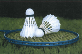 31 Marzo, Palermo (PA). Campionato Regionale FSSI di Badminton M/F